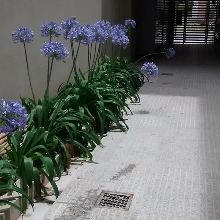 Departamentos Reibel Apartment Colon  Exterior photo