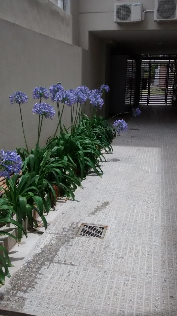 Departamentos Reibel